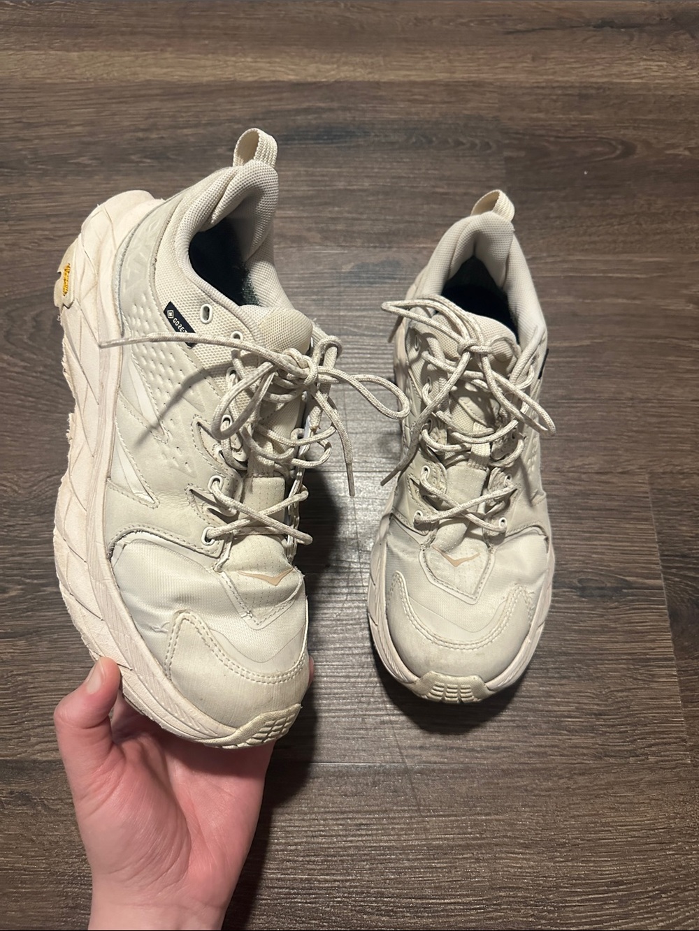 HOKA ONE ANACAPA LOW GTX